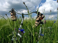 Killikus&reg; Fotographie